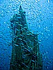 IMG_2833.JPG