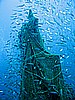 IMG_2834.JPG