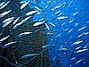 IMG_2835.JPG