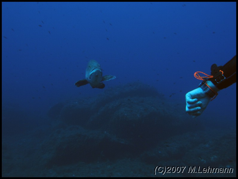IMG_2883.JPG