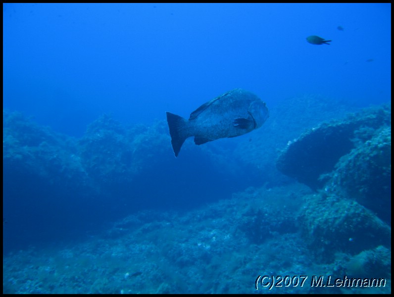 IMG_2887.JPG