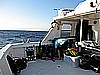 IMG_2849.JPG