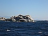 IMG_2867.JPG