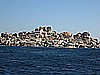IMG_2870.JPG