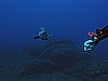 IMG_2883.JPG