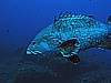 IMG_2884.JPG