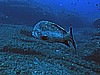 IMG_2885.JPG