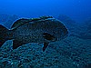 IMG_2886.JPG
