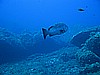 IMG_2887.JPG