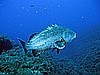 IMG_2888.JPG