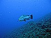 IMG_2889.JPG