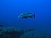 IMG_2890.JPG