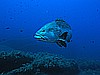 IMG_2891.JPG