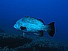 IMG_2892.JPG