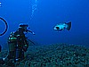 IMG_2898.JPG