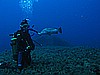 IMG_2899.JPG