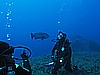 IMG_2900.JPG
