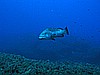 IMG_2901.JPG