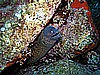 IMG_2913.JPG
