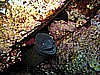 IMG_2914.JPG