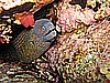 IMG_2915.JPG