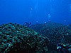 IMG_2919.JPG