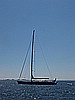 IMG_2920.JPG