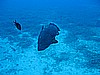 IMG_2929.JPG
