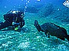 IMG_2933.JPG