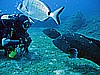 IMG_2934.JPG