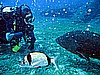 IMG_2935.JPG