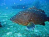 IMG_2936.JPG