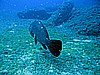 IMG_2937.JPG