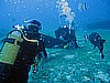 IMG_2939.JPG