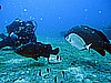 IMG_2940.JPG