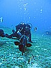 IMG_2941.JPG