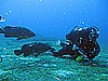 IMG_2942.JPG