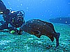IMG_2943.JPG