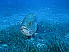 IMG_2947.JPG
