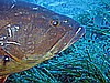 IMG_2948.JPG