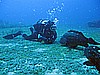 IMG_2949.JPG