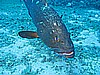 IMG_2951.JPG