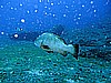 IMG_2955.JPG