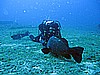 IMG_2957.JPG