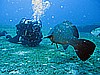 IMG_2958.JPG