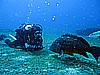 IMG_2959.JPG