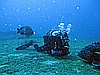 IMG_2960.JPG