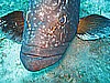 IMG_2962.JPG