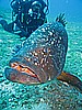IMG_2963.JPG
