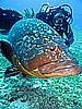 IMG_2964.JPG
